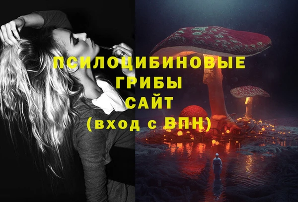 молекула духа Верея