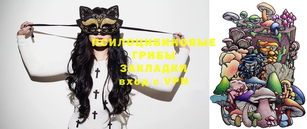 молекула духа Верея