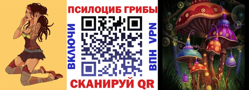 дарк нет как зайти  Ростов  Псилоцибиновые грибы Psilocybe 