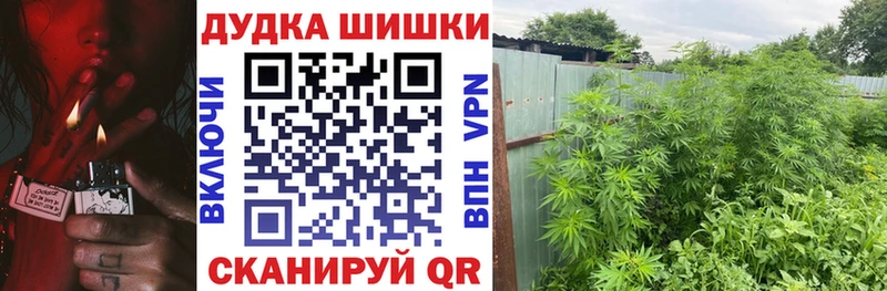 Каннабис сатива  купить наркоту  Ростов 